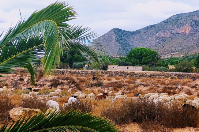 Finca Vista Valle 