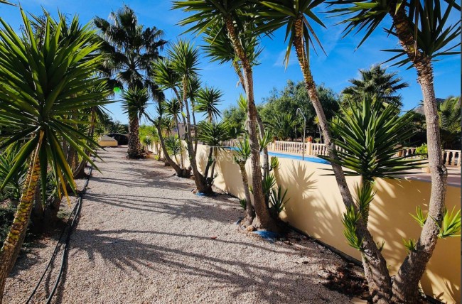Finca Vista Valle 