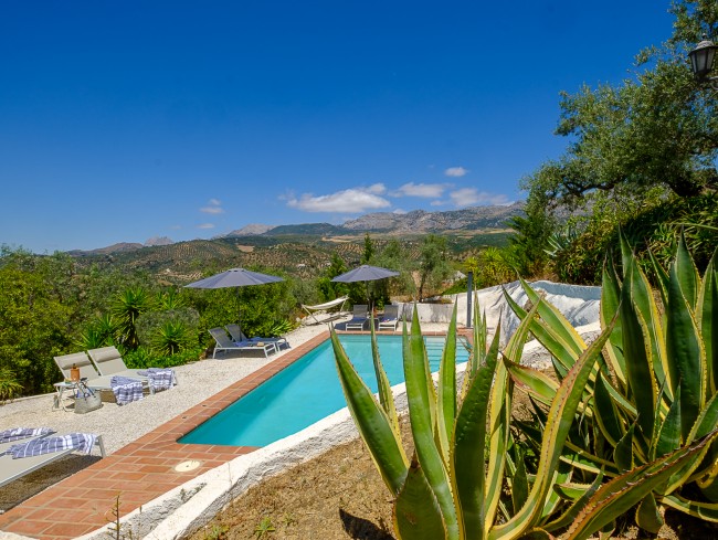 Bed & Breakfast Finca Gordo Andalusië 