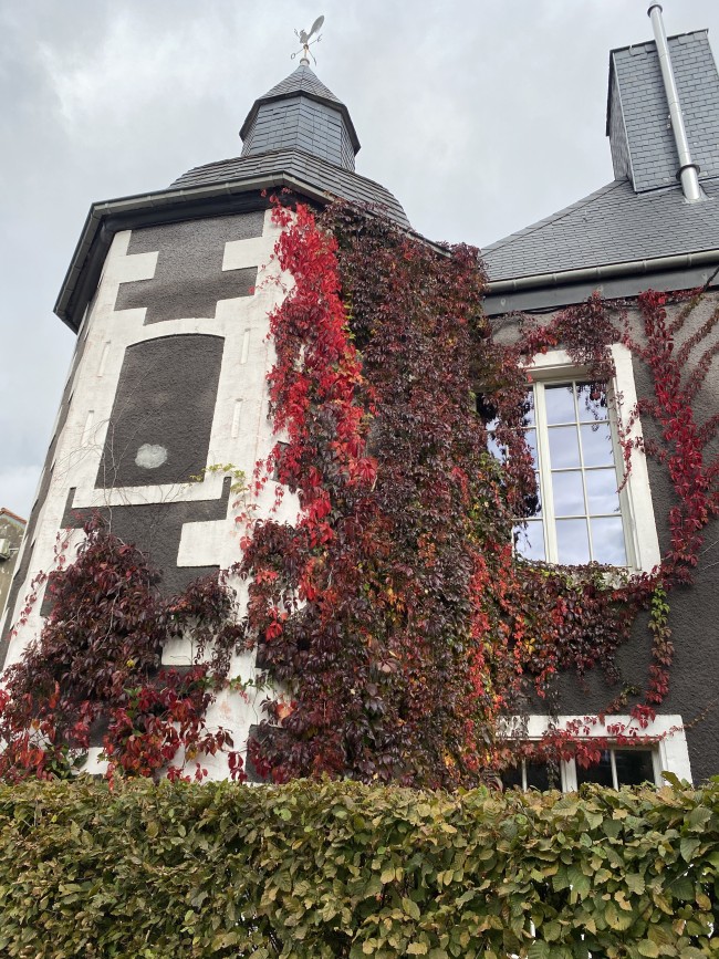 Château de Clémency 