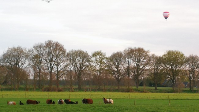Bij Aquamarijn 