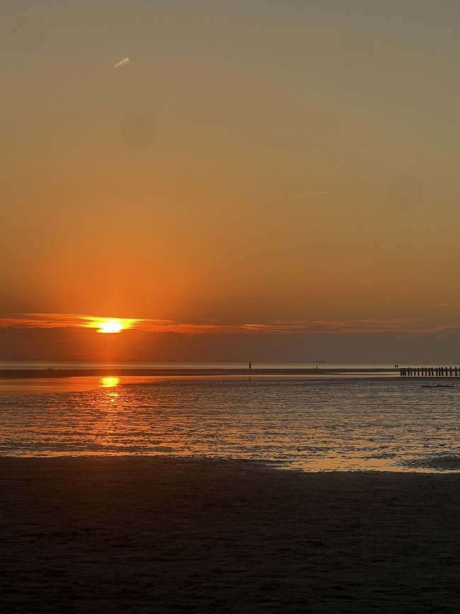 Schouwseduin32 
