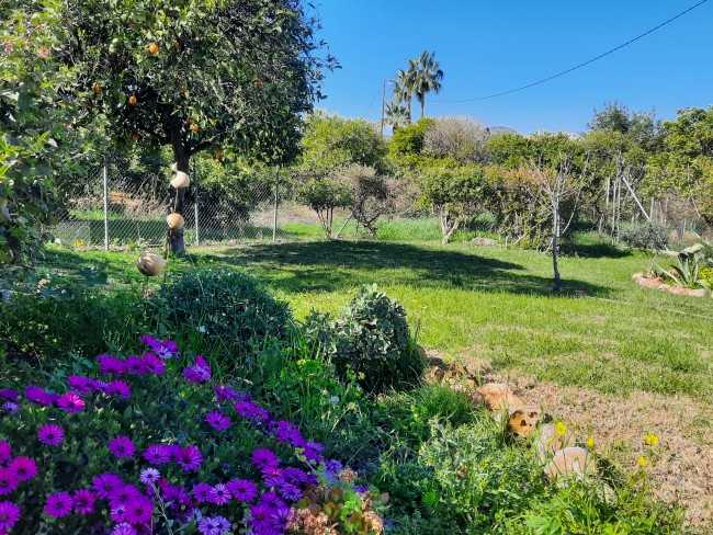 Finca Sueño de Vida 