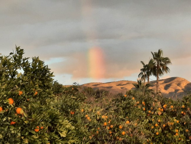 Finca Sueño de Vida 
