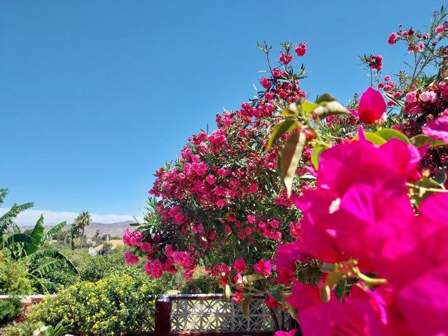 Finca Sueño de Vida 