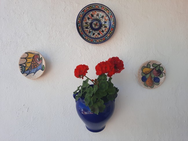 Finca Sueño de Vida 