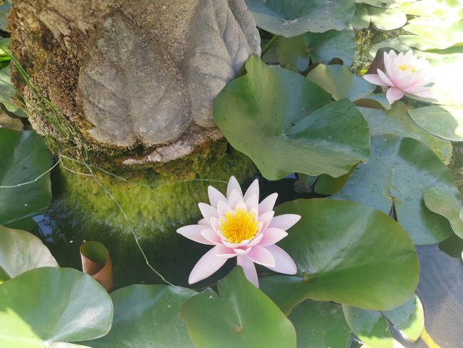 Finca Sueño de Vida 