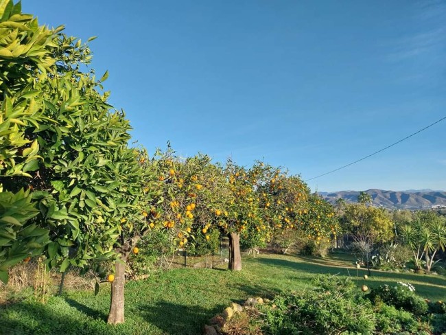 Finca Sueño de Vida 