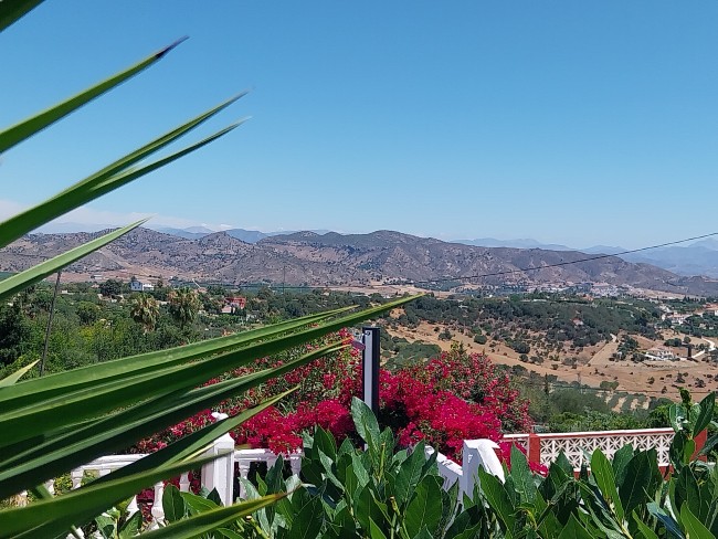 Finca Sueño de Vida 