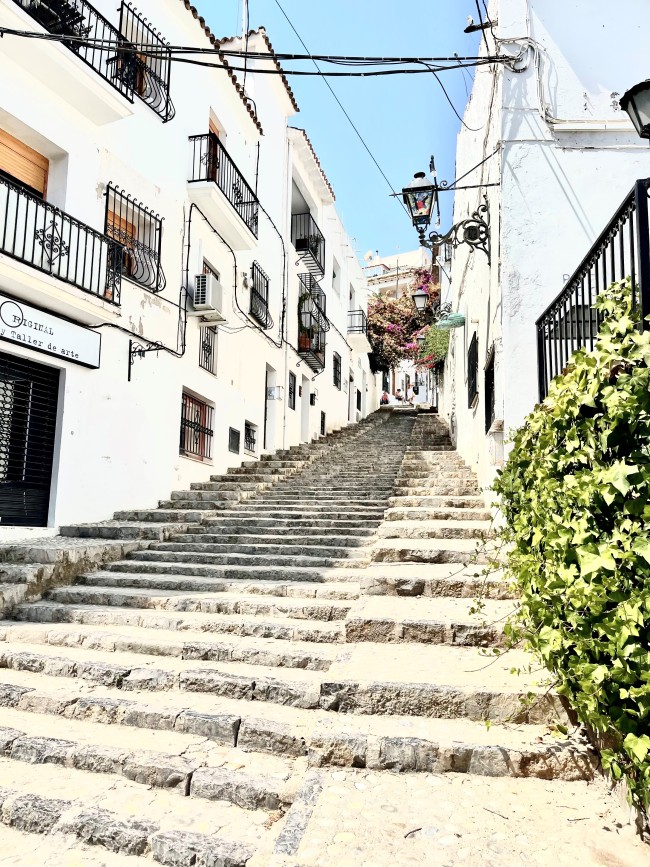 Cirene Albir 