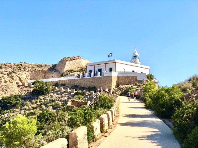 Cirene Albir 