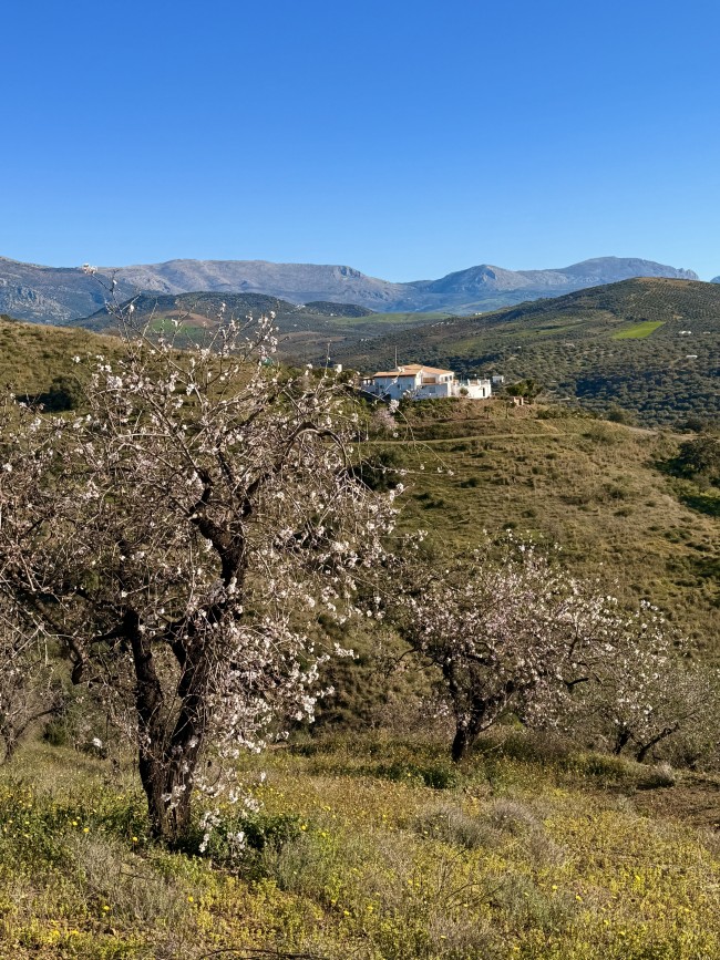 Casa la Quinta 