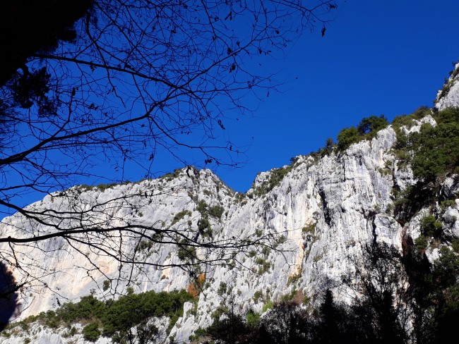 Rêve du Verdhon 