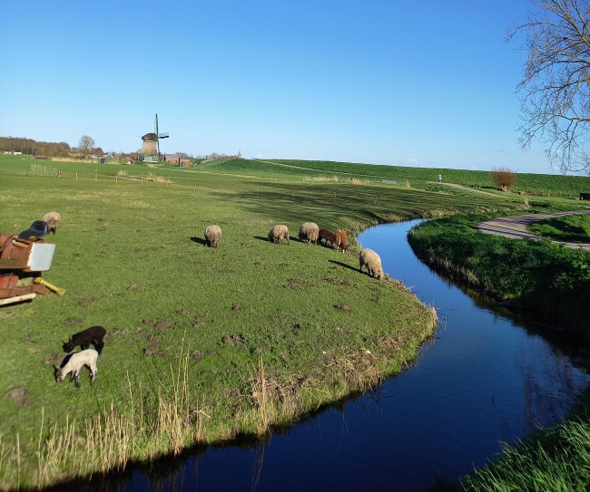Louët Logiesaccommodaties 