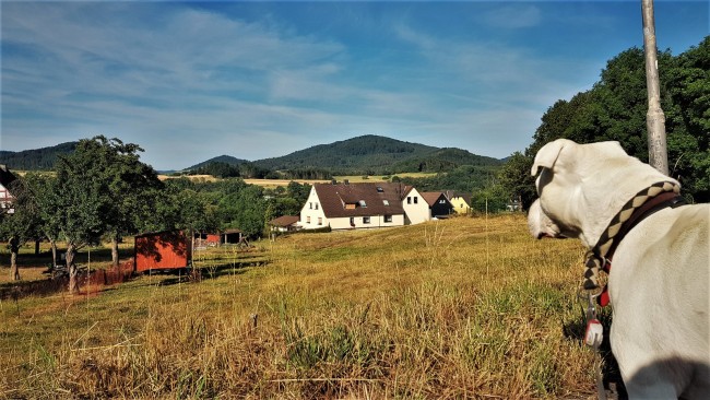 Ferienhaus Laange 