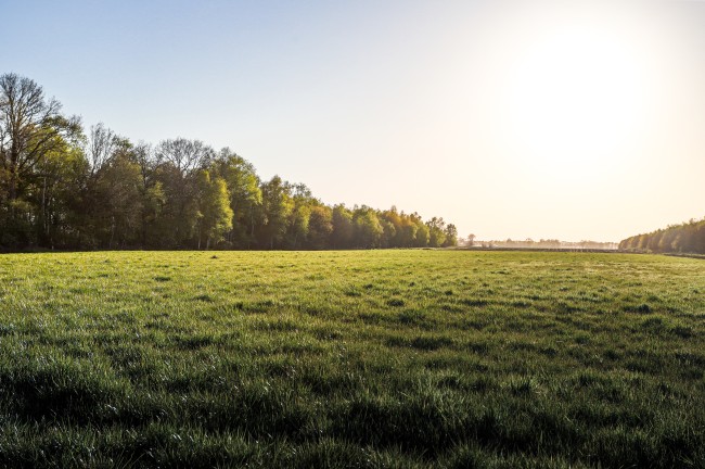 Vakantiehuis Op Stieltjeskanaal 