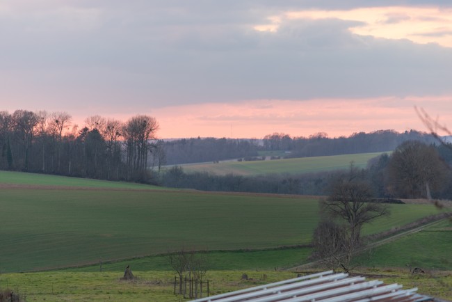 Le Vieux Marronnier 
