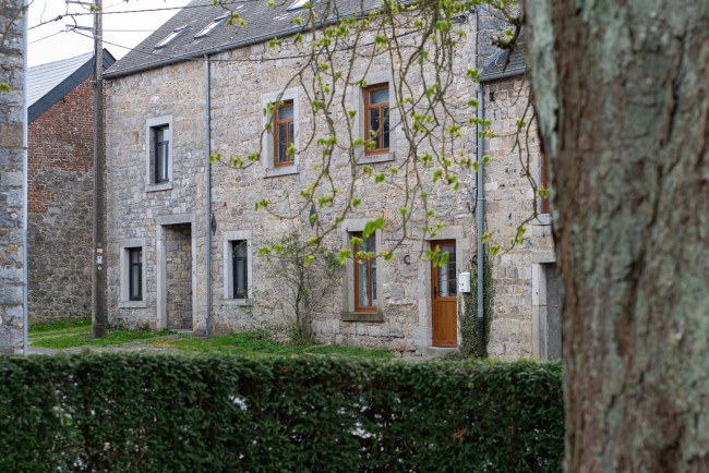 Le Vieux Marronnier 