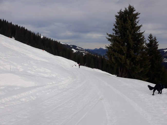 Fasserhof 