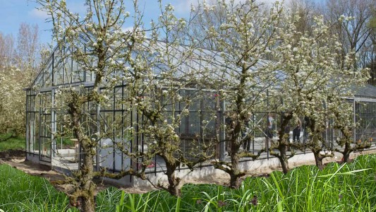 Proeftuin van Linschoten 
