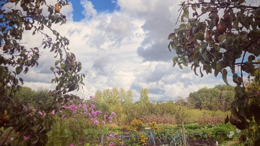 Proeftuin van Linschoten 