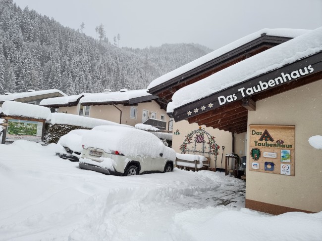 Das Taubenhaus 