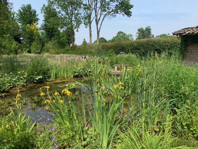 B&B Pastorie Jelsum 
