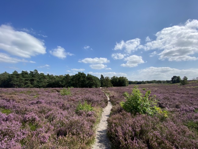 La Vita Veluwe 