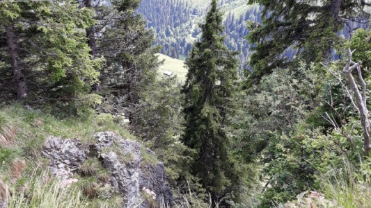 Landhaus Christl
