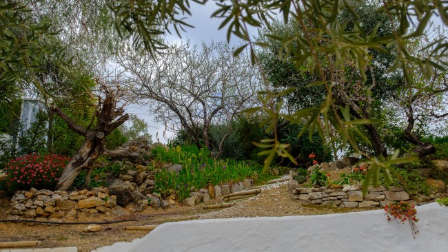 Bed & Breakfast Finca Gordo Andalusië 