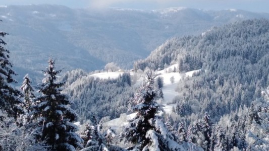 Gasthof Arriach