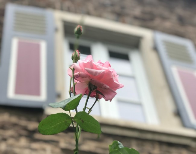 Das Moselhaus 