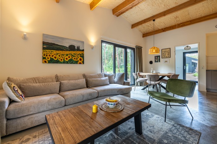 Algemene foto over Boslodge Ommen 1