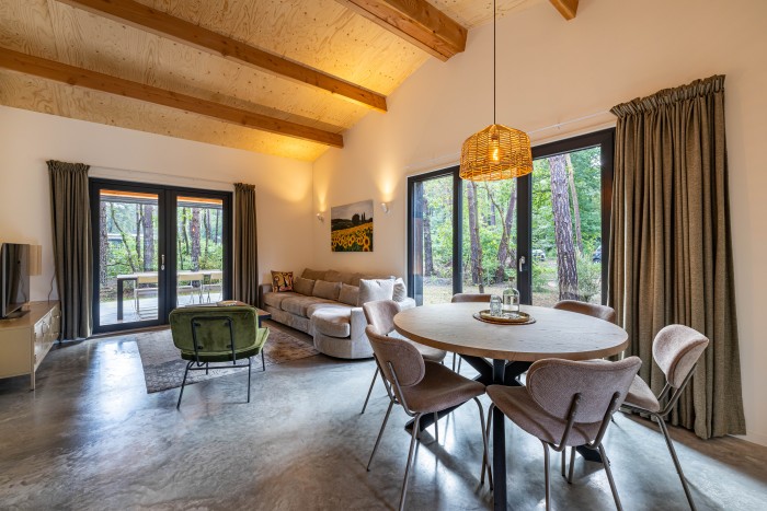 Algemene foto over Boslodge Ommen 1