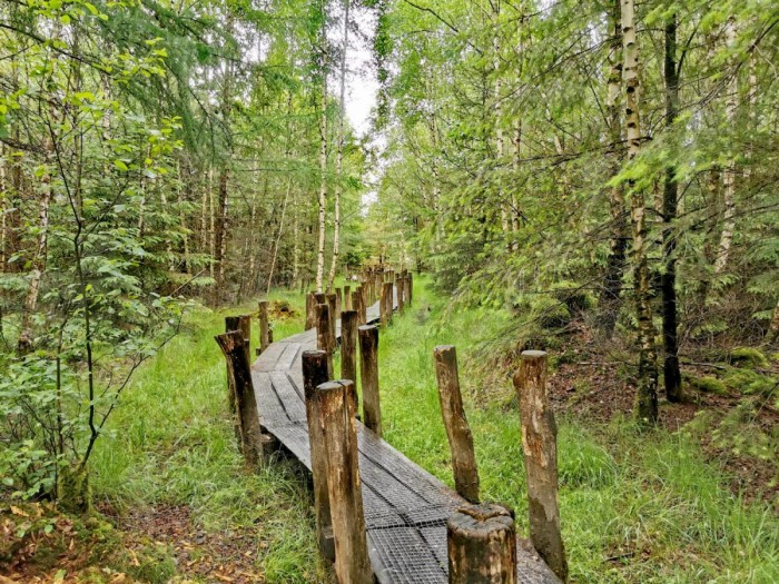 Algemene foto over Gastenverblijf Zomerdijk 1