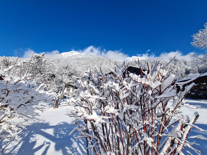 Allgemeines Bild über Gästehaus Pernull 1