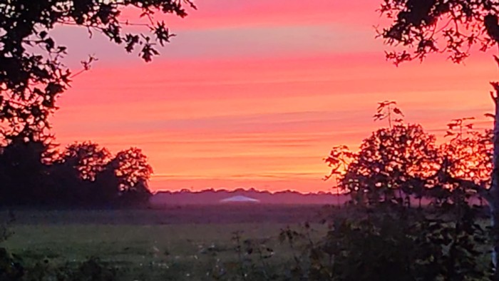 Algemene foto over Ergens bij Eva 1