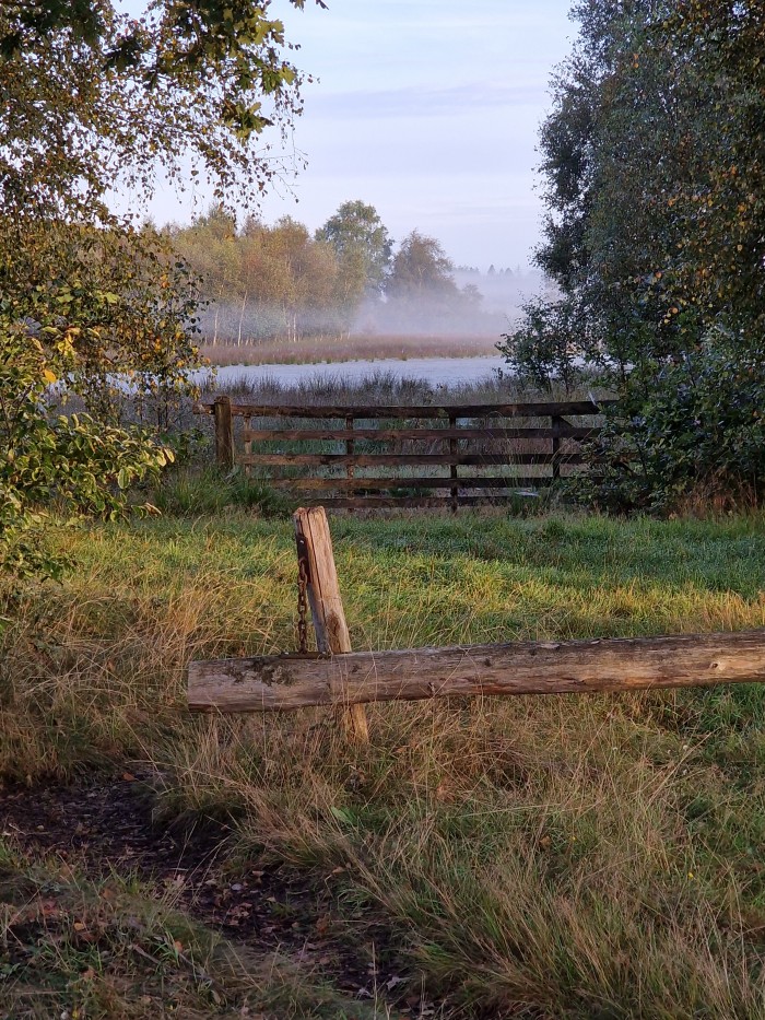 Algemene foto over Ergens bij Eva 1