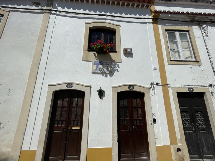 General photo about Sapo Sonolento 1