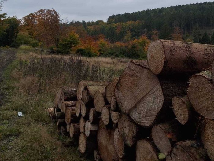 General photo about Waldhof Hochsauerland 1