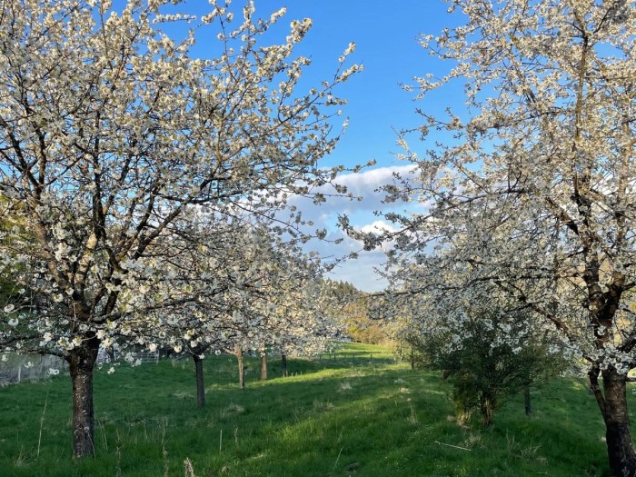 Algemene foto over Waldhof Hochsauerland 1