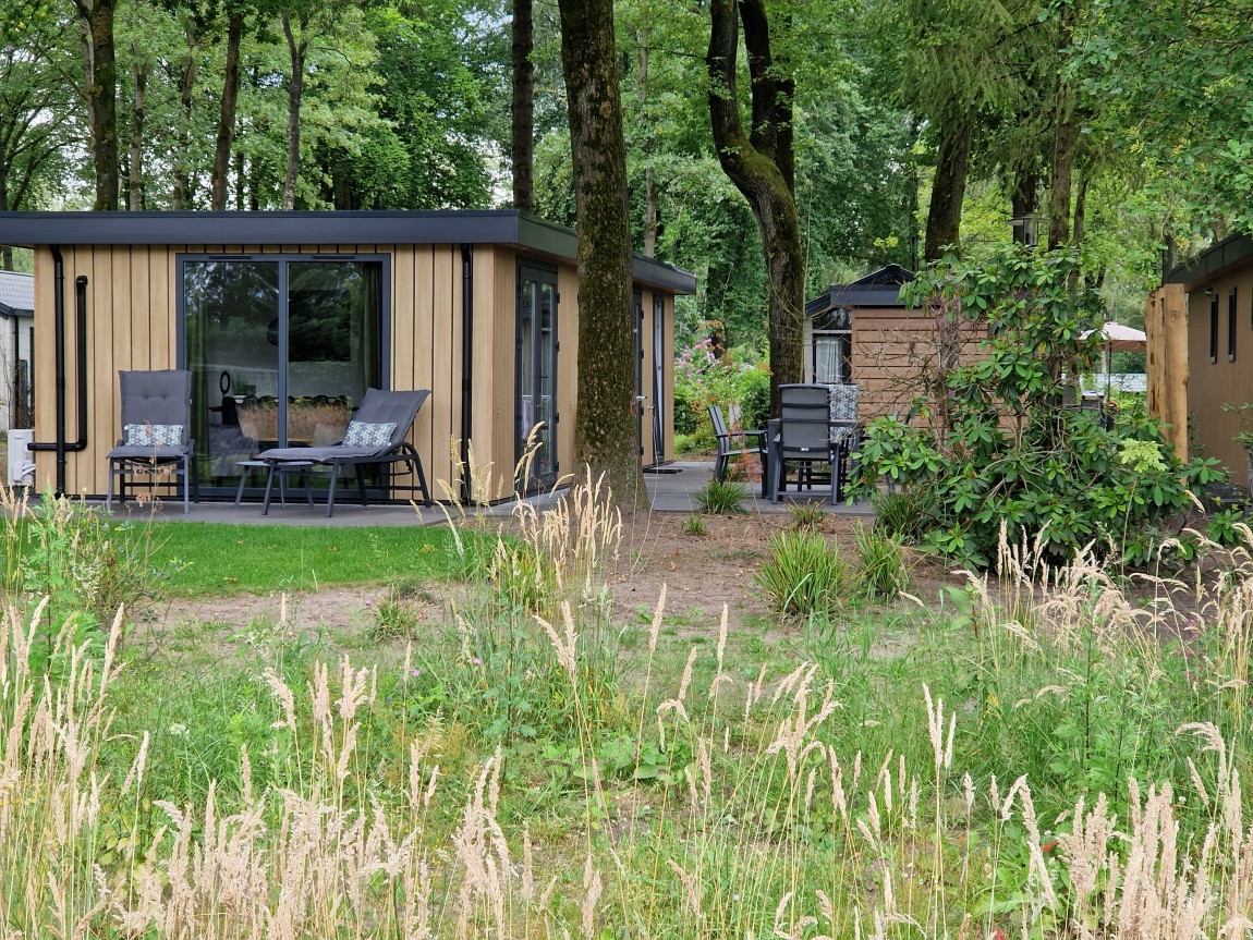 General photo about Wood 386 EDE 1