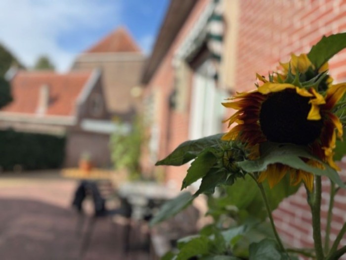 Algemene foto over B&B In de Kathoek 1