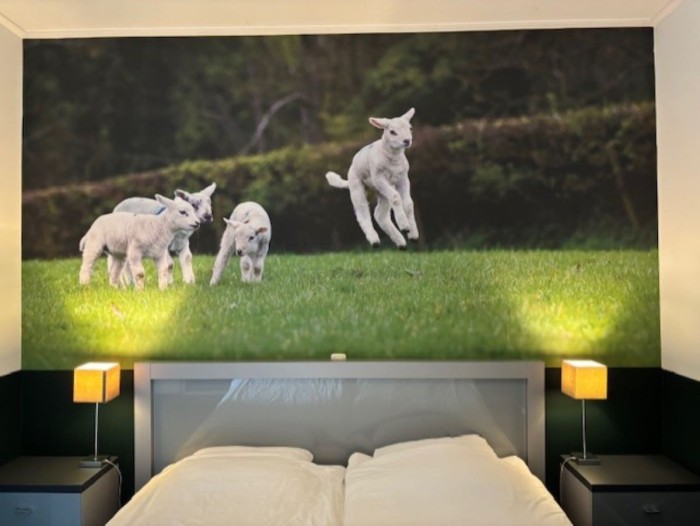 Algemene foto over In de Kathoek 1