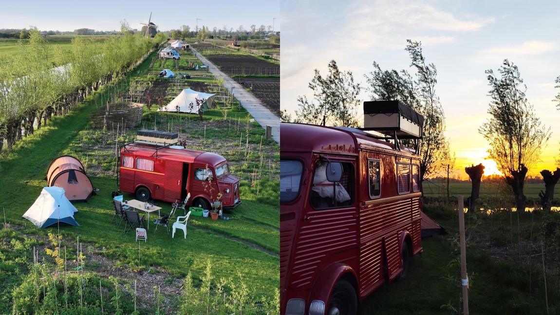 Algemene foto over Voedselbos camping Koperwiek 1