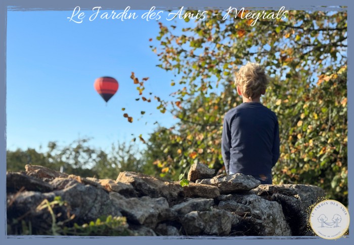 Algemene foto over Le Jardin Des Amis 1