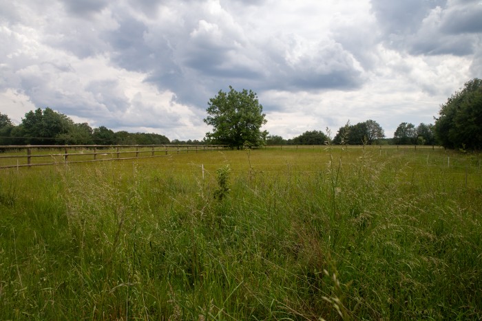 Algemene foto over WeidsOvernachten 1
