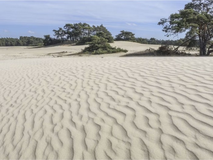 Algemene foto over Bed and Breakfast Wicherumloo 1