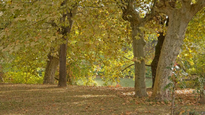 Algemene foto over Le Cozy 1