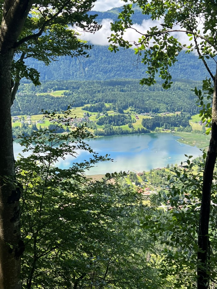 Allgemeines Bild über Haus Holunder Weissbriach 1